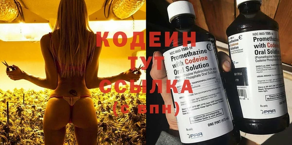 не бодяженный Заводоуковск