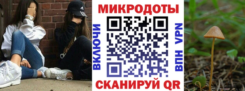 Купить закладки  Киреевск  Псилоцибиновые грибы MAGIC MUSHROOMS 