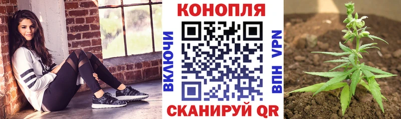 Шишки марихуана Amnesia  Купить  Киреевск 